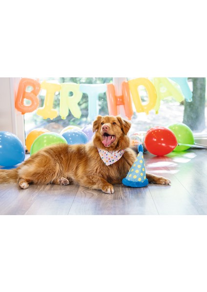 Beeztees Köpek Oyuncağı, Şapka, Peluş, Mavi, 22X14X14CM modelleri