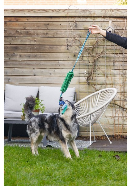 Beeztees Köpek Oyuncağı, Tut Getir Tenis Toplu, Peluş, Mavi-Yeşil, 90X10X6CM indirimleri