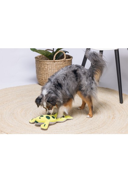 Beeztees Köpek Ödül Saklama Oyuncağı, Kurbağ, Peluş, Sarı, 31X20X7CM fiyatları