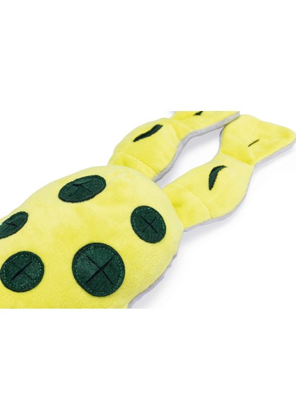Beeztees Köpek Ödül Saklama Oyuncağı, Kurbağ, Peluş, Sarı, 31X20X7CM fırsatları