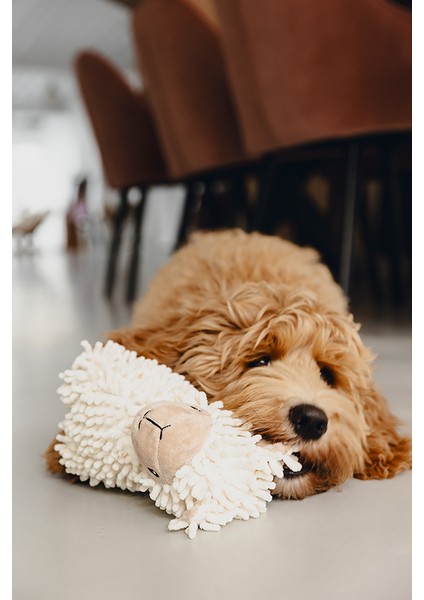 Beeztees Köpek Oyuncağı, Koyun, Peluş, Beyaz, 26X6X21CM fiyatları