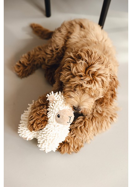Beeztees Köpek Oyuncağı, Koyun, Peluş, Beyaz, 26X6X21CM modelleri