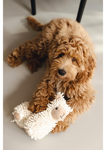 Beeztees Köpek Oyuncağı, Koyun, Peluş, Beyaz, 26X6X21CM fırsatları