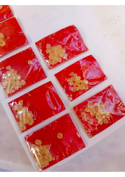 Damla (Mezeki) Sakızı Hatay %100 Doğal Tek Kullanımlık 0.5 gr