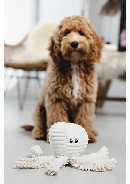 Beeztees Köpek Oyuncağı, Ahtapot, Peluş, Beyaz, 26X13X13CM fiyatları