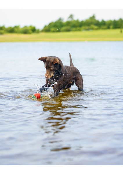 Beeztees Köpek Oyuncağı, Yüzen, Içi Su Dolabilen Toplar, Mavi/kırmızı, 3 Adet, 6,2cm fiyatları