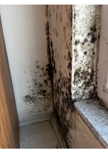 Küf Duvar, tavan Banyo, Duşakabin Leke Giderici 750ML 3 Adet