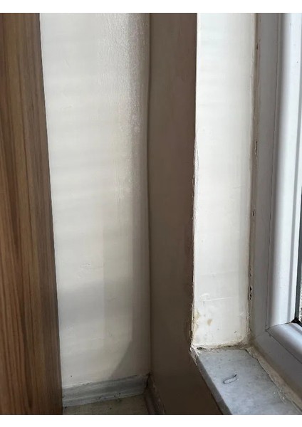 Küf Duvar, tavan Banyo, Duşakabin Leke Giderici 750ML 3 Adet