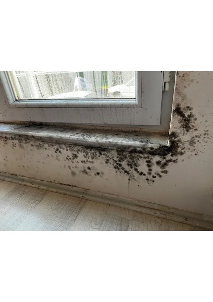 Küf Duvar, tavan Banyo, Duşakabin Leke Giderici 750ML 3 Adet
