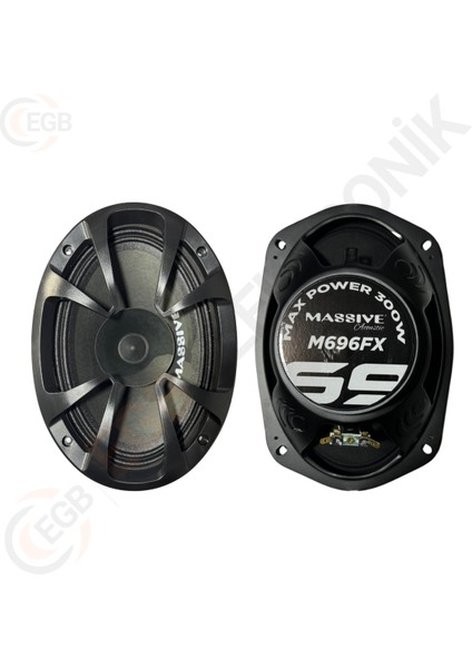 Massive MS-M696FX 300W Oval Midrange Çift