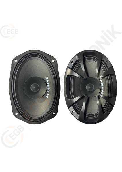 Massive MS-M696FX 300W Oval Midrange Çift modelleri