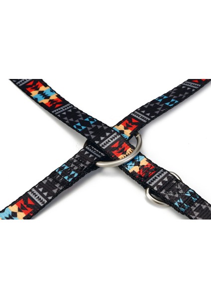 Beeztees Köpek Gezdirme Kayışı, Desenli, 200CM, 20MM fiyatları