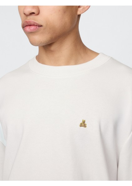 Erkek Bej Oversized Terry Bisiklet Yaka T-Shirt fırsatları