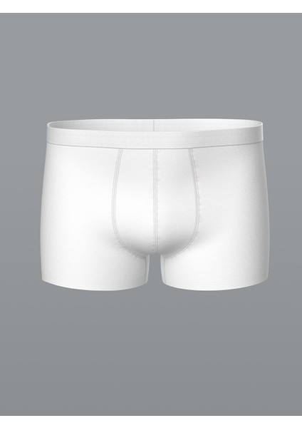 Yeni Sezon Standart Kalip Pamuklu Esnek Erkek Boxer 3'lu - W40993Z8