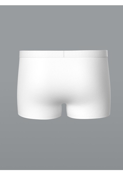 Yeni Sezon Standart Kalip Pamuklu Esnek Erkek Boxer 3'lu - W40993Z8