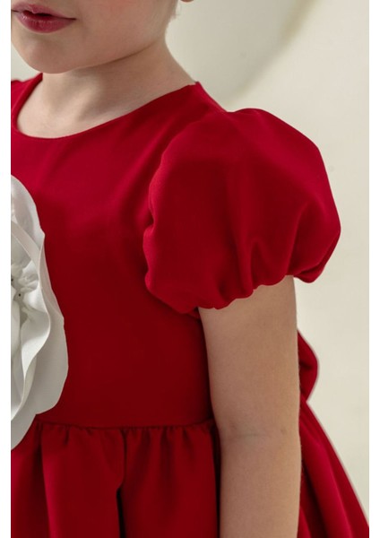 Robalı Gül Desenli Kız Çocuk Kısa kol elbise - Kırmızı modelleri