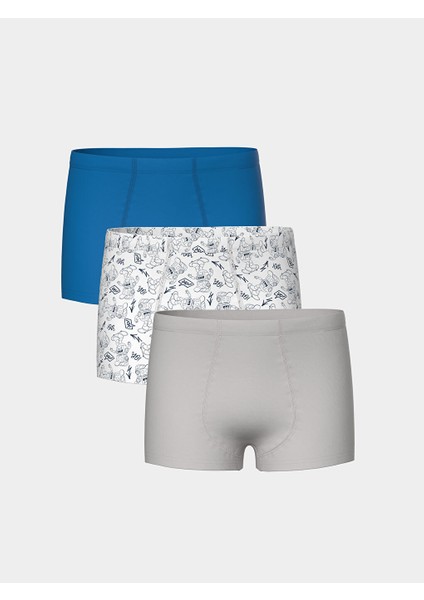 Yeni Sezon Baskili Erkek Cocuk Boxer 3'lu - S55228Z4