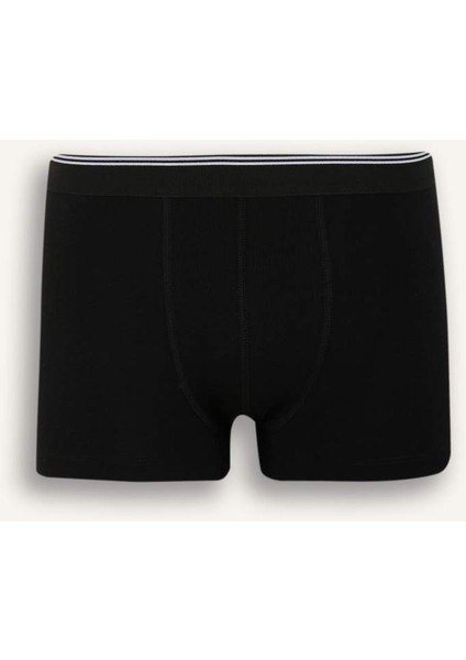 Yeni Sezon Regular Fit Hayvan Baskılı 3'lü Boxer fırsatları