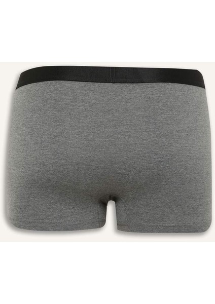 Yeni Sezon Regular Fit 3'lü Boxer