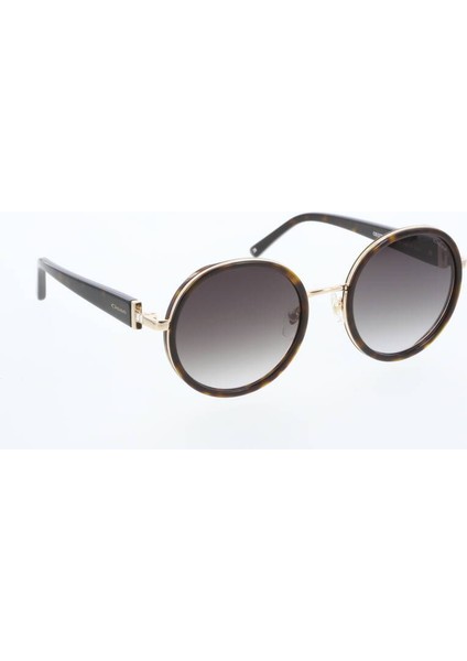 3779 55 02 Kadın Güneş Gözlüğü modelleri