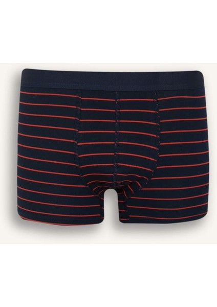 Yeni Sezon Regular Fit Çizgili 3'lü Boxer
