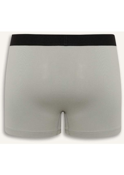 Yeni Sezon Regular Fit 3'lü Boxer