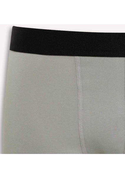 Yeni Sezon Regular Fit 3'lü Boxer