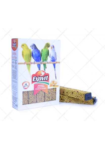 Muhabbet Kuşu Bal Aromalı 10'lu Kraker