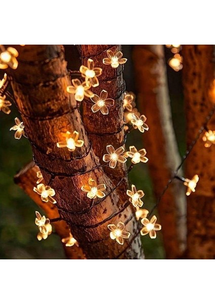 Solar 5m 50 LED Papatya Gün Işığı 8 Fonksiyonlu