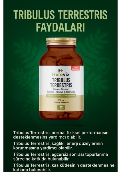 Tribulus Terrestis 500 Mg 60 Kapsül