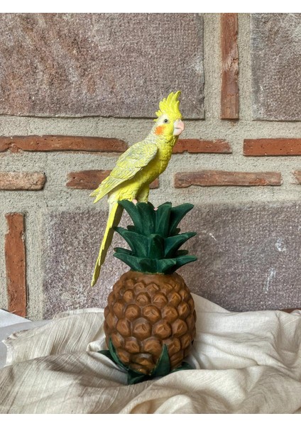 Papağan Ananaslı fiyatları