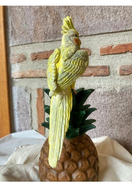 Papağan Ananaslı modelleri