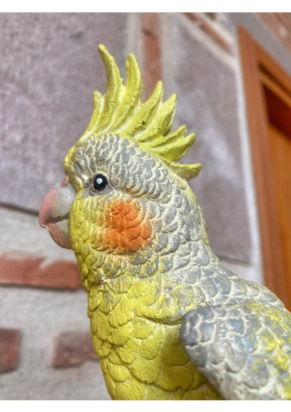 Papağan Ananaslı indirimleri