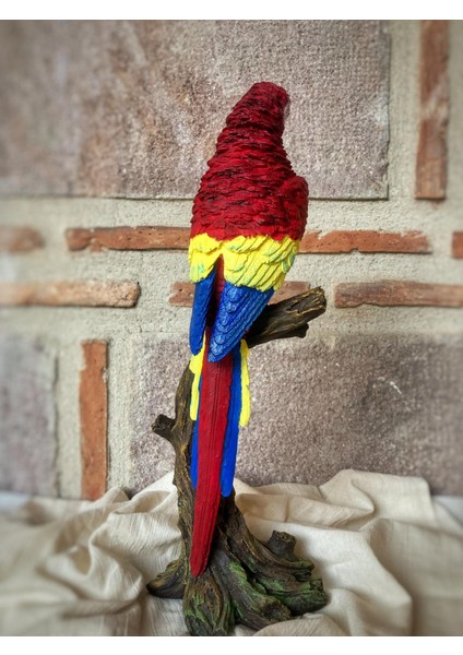 Papağan Macaw