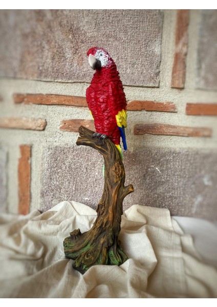 Papağan Macaw