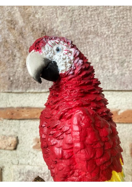 Papağan Macaw