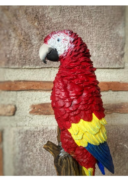 Papağan Macaw