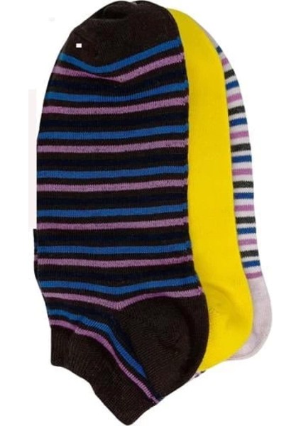 Modlive Srfn Kadın Patik Çorap 3 Lü Çizgili Desen