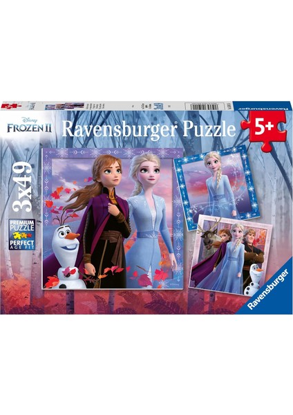 Yapboz, Wd Frozen2, 3X49 Parça