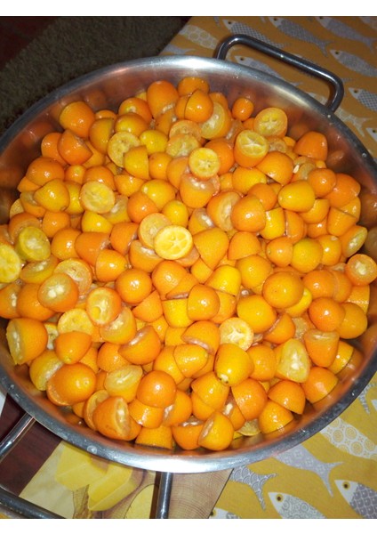 Kumkuat Reçeli- 2 Adet 400gr modelleri