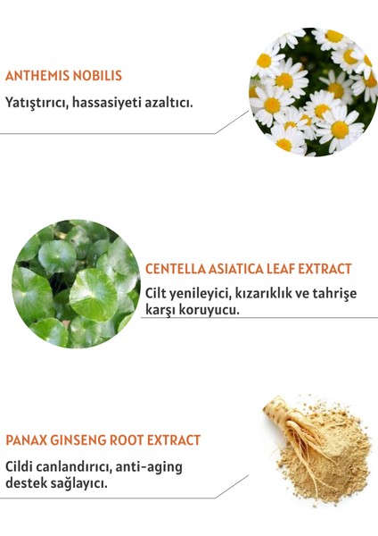 Vitamin C Luxe Drop Serum - Cilt Tonu Eşitleyen - Hyaluronik Asit - Kojik Asit - Niacinamide - 30 ml