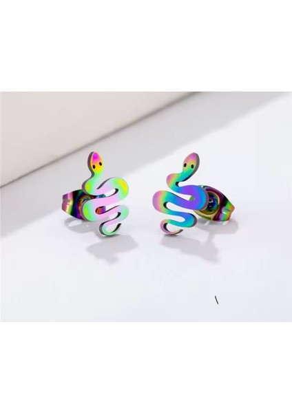 Paslanmaz Çelik Küpe