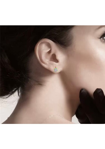 Paslanmaz Çelik Küpe fiyatları