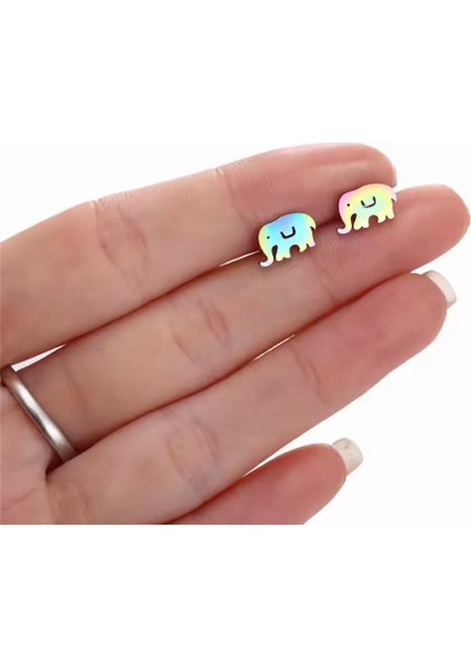 Paslanmaz Çelik Küpe fiyatları