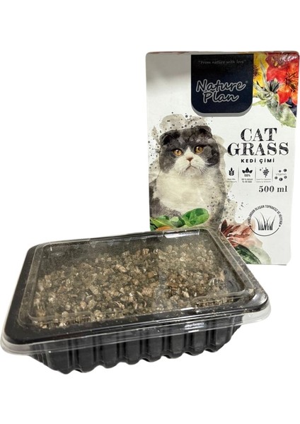 Nature Plane Kedi Çimi 500ML