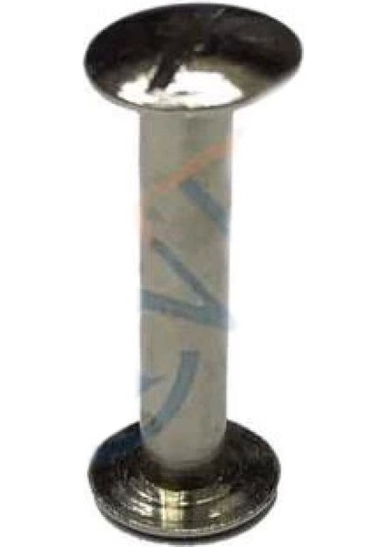 Cilt Menü, Katalog, Kartela Vidası, 20 mm - Nikel, 1 Adet