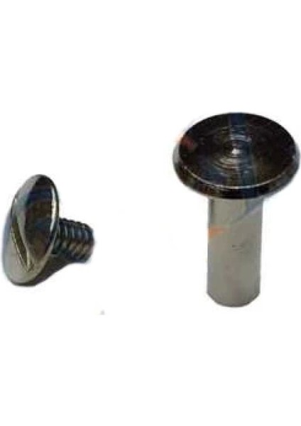 Cilt Menü, Katalog, Kartela Vidası, 13MM - Nikel, 100 Adet