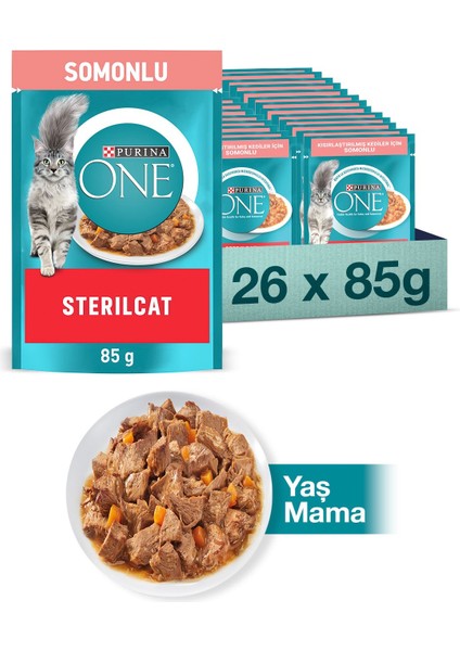 Purına One Pouch Kısır Somon & Havuçlu Kedi Yaş Mama 85 gr - 26 A