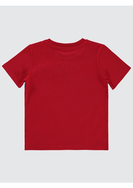 Erkek Çocuk Tişört 2-5 Yaş Kırmızı fiyatları