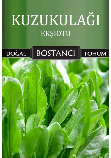 Yerli Kuzukulağı Ekşiotu Tohumu Doğal Yerli Tohum Pakette 100 gr 100000 Tohum